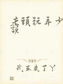 老头玩弄少妇小说