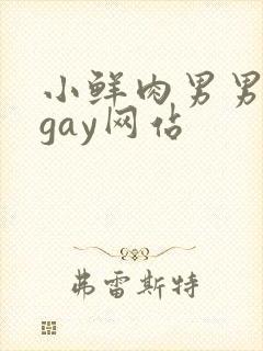 小鲜肉男男同性gay网站封面