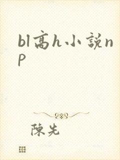bl高h小说np