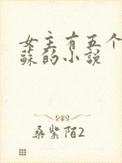 女主有五个哥姓苏的小说