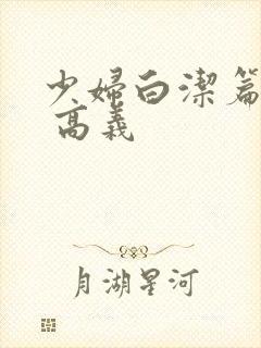 少妇白洁篇小说 高义封面