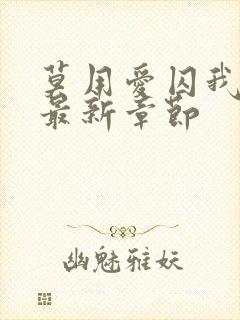 莫用爱囚我小说最新章节