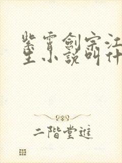 紫霄剑宗江澈重生小说叫什么名字封面