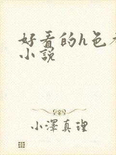 好看的h色都市小说