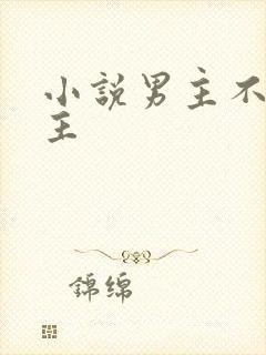 小说男主不爱女主