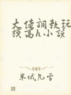 大佬调教玩弄嫩模高h小说