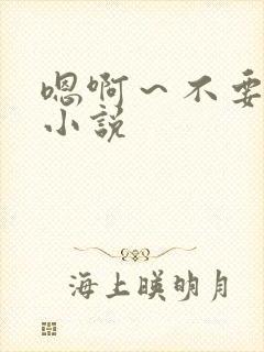 嗯啊～不要啊h小说