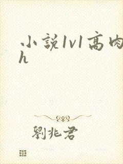 小说1v1高肉h封面
