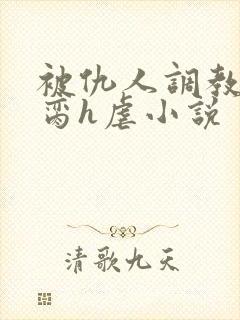 被仇人调教成禁脔h虐小说封面