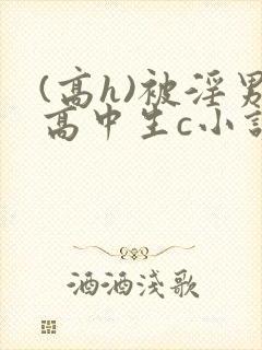 (高h)被淫男高中生c小说小说