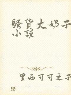 骚货大奶子言情小说封面