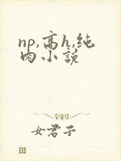 np,高h,纯肉小说