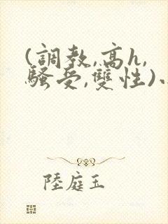 (调教,高h,骚受,双性)小说