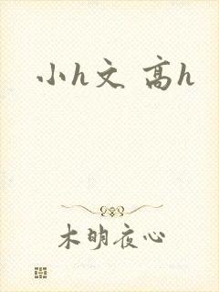 小h文 高h