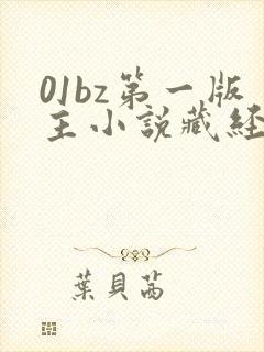 01bz第一版主小说藏经阁