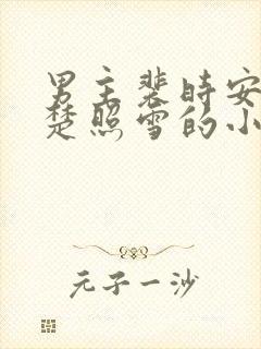 男主裴时安女主楚照雪的小说