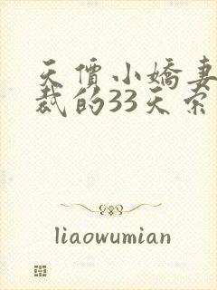 天价小娇妻,总裁的33天索情封面