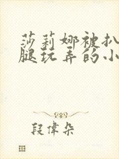 莎莉娜被扒开双腿玩弄的小说