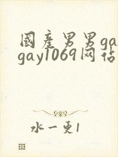 国产男男gaygay1069网站