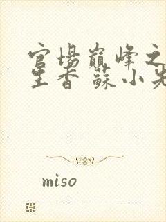 官场巅峰之权色生香 苏小先生