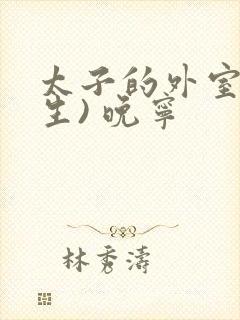 太子的外室(重生) 晚宁