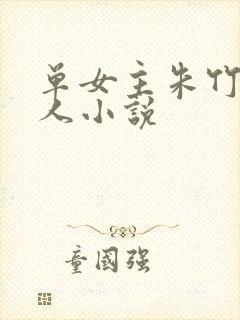 单女主朱竹清同人小说封面