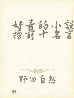 好看的小说排行榜前十名言情