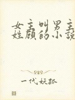 女主叫男主叔叔姓顾的小说