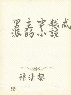 男主穿越成为反派的小说