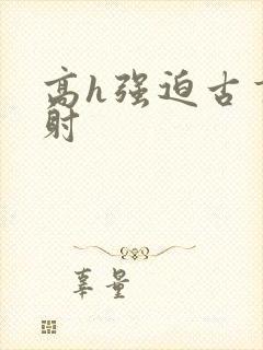 高h强迫古言内射封面