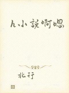 h小说啊嗯封面
