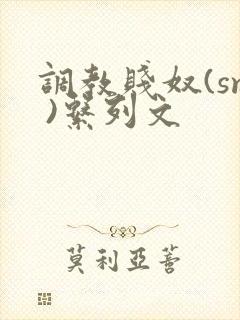 调教贱奴(sm )系列文