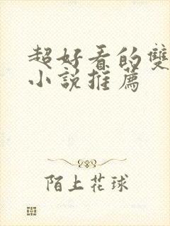 超好看的双男主小说推荐