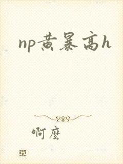 np黄暴高h