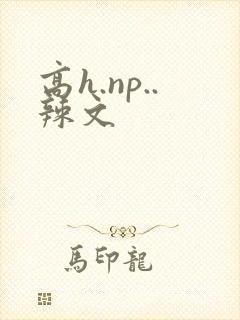 高h.np..辣文