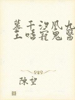 慕千汐凰九夜邪王嗜宠鬼医狂妃免费阅读