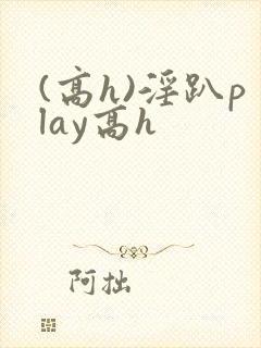 (高h)淫趴play高h