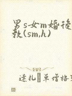 男s女m婚后调教(sm,h)