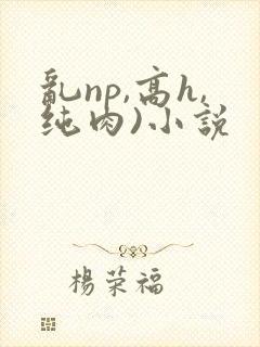 乱np,高h,纯肉)小说