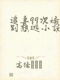 追妻99次娇妻别想逃小说