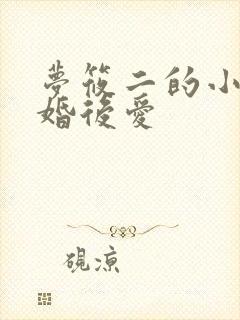 梦筱二的小说先婚后爱
