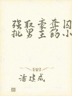 强取豪夺囚禁疯批男主的小说