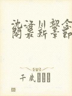 沈洛川黎念笔趣阁最新章节更新完了