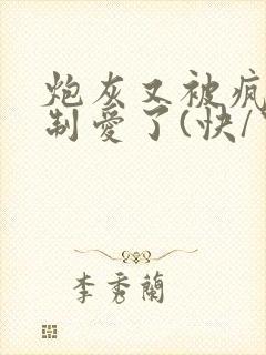 炮灰又被疯批强制爱了(快/穿)