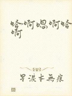 哈啊嗯啊哈啊嗯啊封面