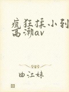 疯狂揉小到失禁高潮av