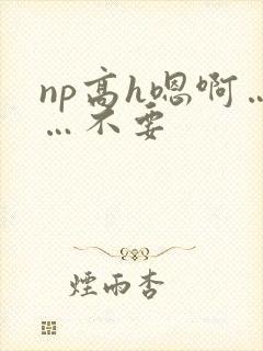 np高h嗯啊……不要