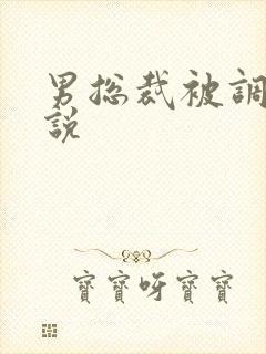 男总裁被调教小说