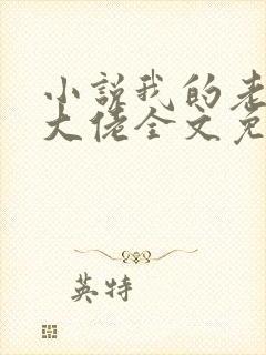 小说我的老公是大佬全文免费阅读