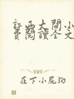 许西大闹小说免费阅读全文无弹窗